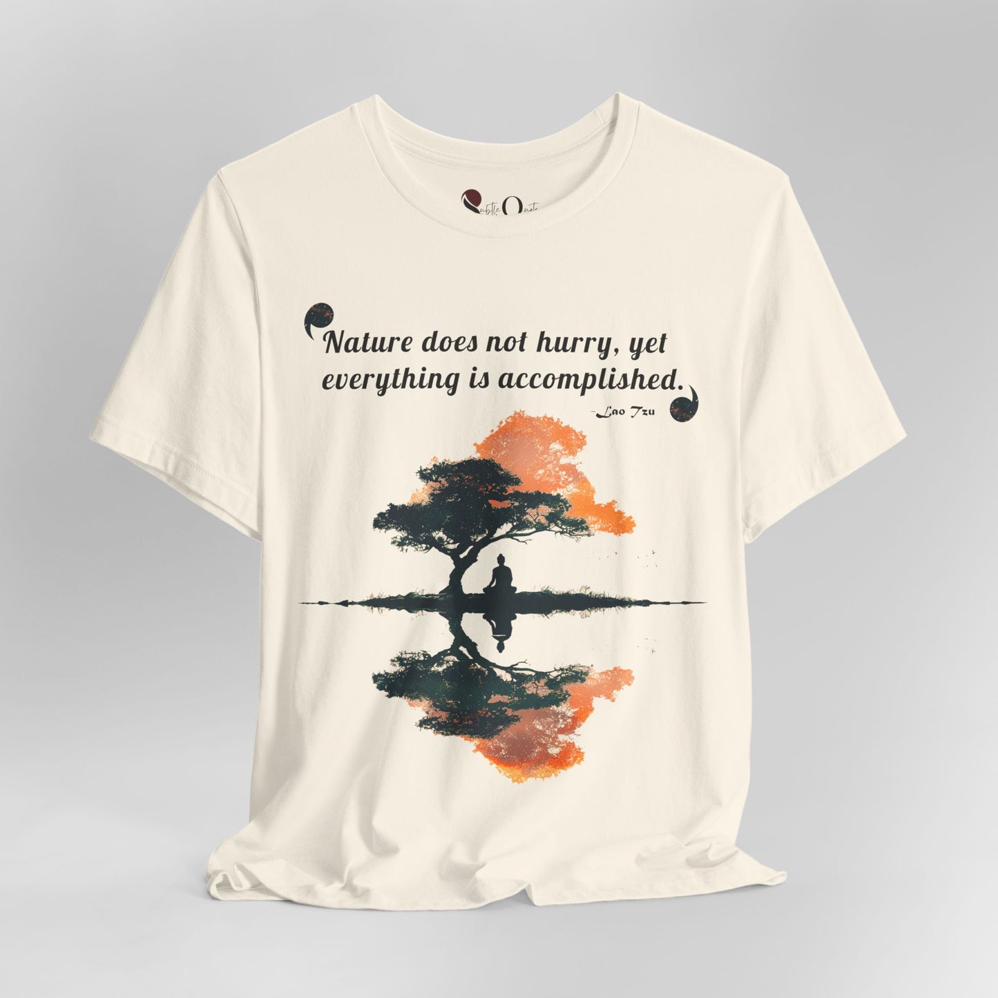 Accomplished Stillness | Lao Tzu